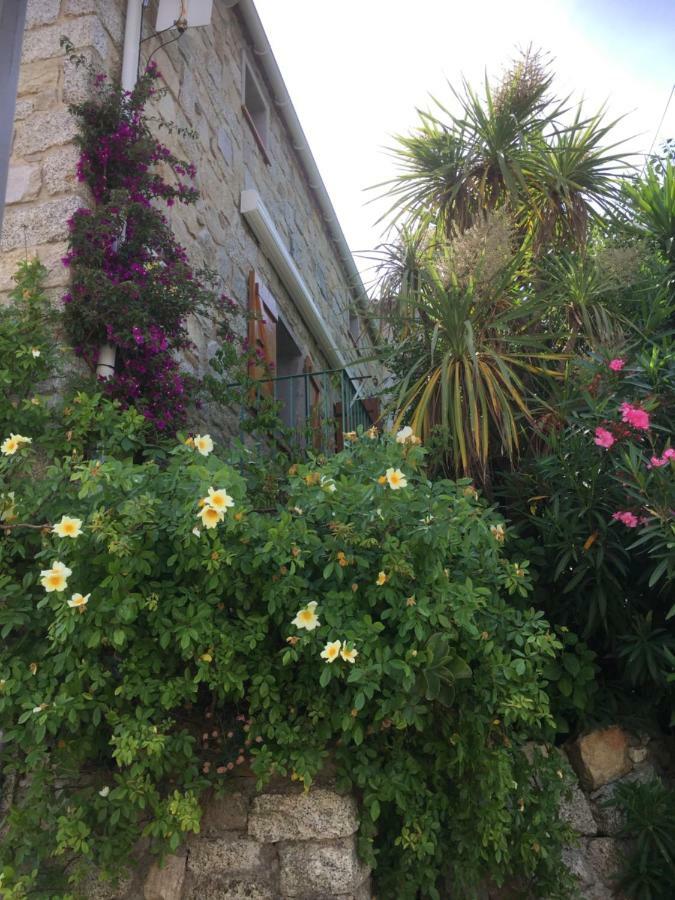 Gite , Maison De Vacances Avec Exterieur Et Terrasse Fleurie Meuble Tourisme 3 Etoiles Santa-Lucia-di-Tallano Exterior photo